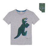 Boys Grey TYRELL T-Shirt