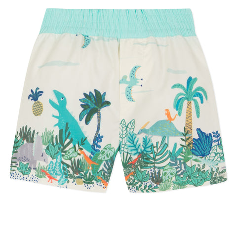 Swim Shorts with Primitive Rock Print