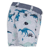 Baby Boys Dino Shorts