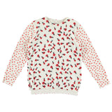 Ladybug Print Sweater