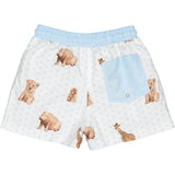 Africa Swim Trunks