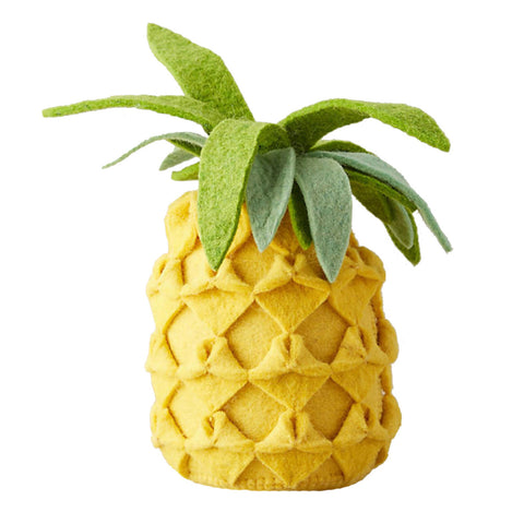 Pineapple Book Stopper