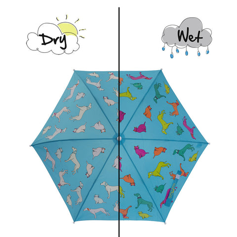 Cats and Dogs Colour Changing Umbrella