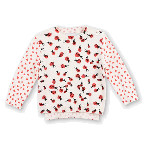 Ladybug Print Sweater