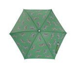 Zebra Colour Changing Umbrella